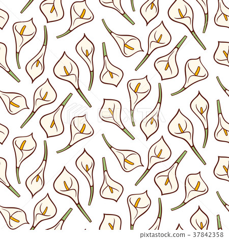Calla lily flower vector. Seamless pattern 37842358