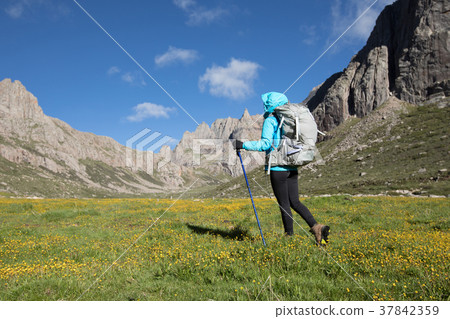 woman walking on flowering high altitude mountain woman walking on flowering high altitude mountain 37842359