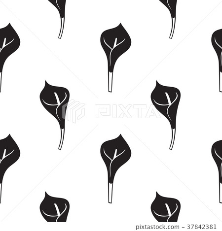 Calla lily flower vector. Seamless pattern Calla lily flower vector. Seamless pattern 37842381