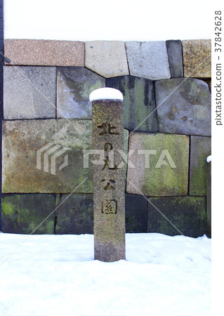 江戶城堡Kitanomaru公園 37842628