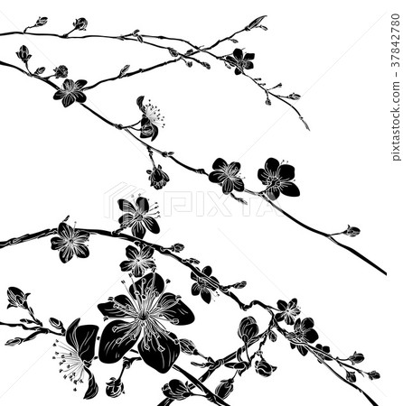 Cherry Blossom Flowers Background Pattern Cherry Blossom Flowers Background Pattern 37842780
