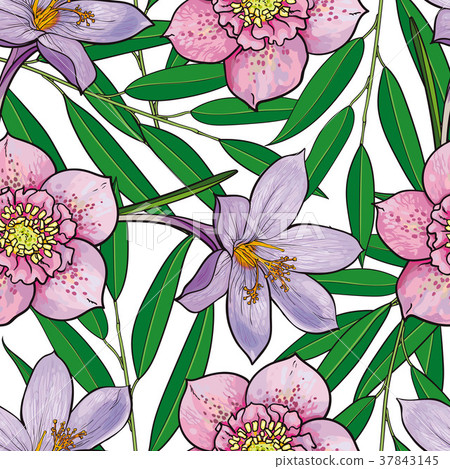 Vector hellebores crocus flower seamless pattern Vector hellebores crocus flower seamless pattern 37843145