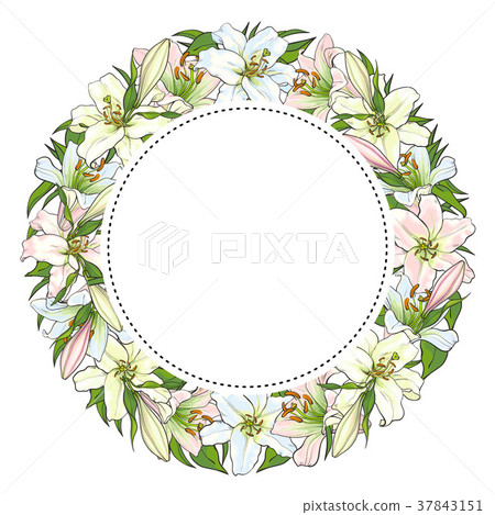 Vector hand drawn tulip circle frame Vector hand drawn tulip circle frame 37843151