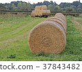 Bales of Hay in Field 37843482