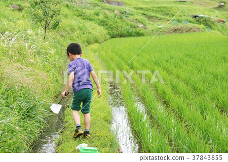 Natural fun 37843855