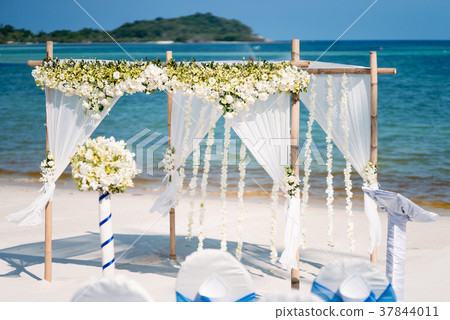 Beach Wedding Arch Decoration, Flower, Floral Beach Wedding Arch Decoration, Flower, Floral 37844011