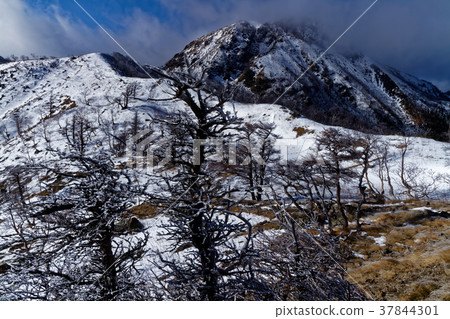 從Mt. Shirane看見的日光Shirane山在冬天 從Mt. Shirane看見的日光Shirane山在冬天 37844301