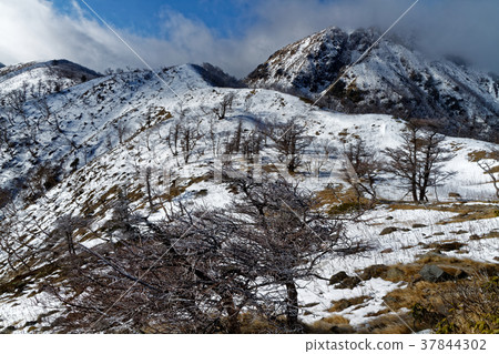 從Mt. Shirane看見的日光Shirane山在冬天 從Mt. Shirane看見的日光Shirane山在冬天 37844302