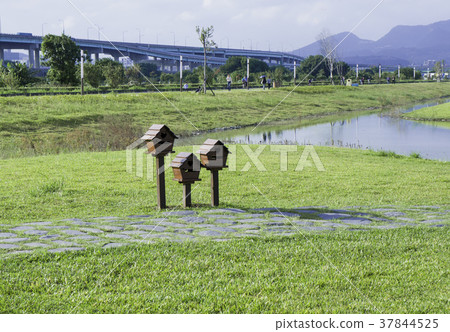 幸福水漾河濱公園綠地 幸福水漾河濱公園綠地 37844525