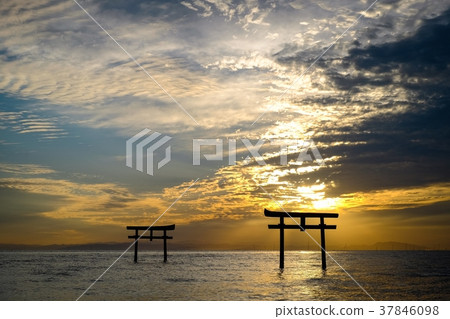Underwater torii (Tara-cho) Underwater torii (Tara-cho) 37846098
