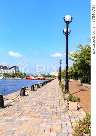 City View Marine Messe Fukuoka Hakata-ku Fukuoka City 37846783