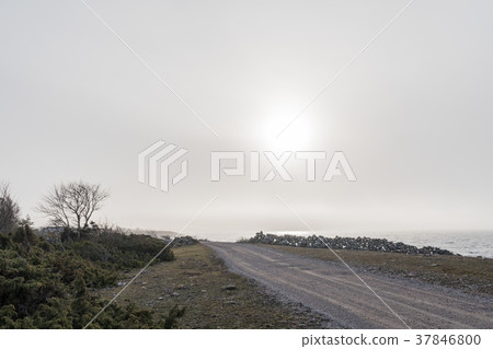 Misty coastal countryside view 37846800