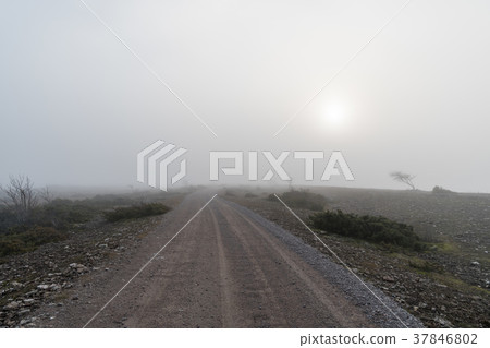 Landscape with a misty gravel road 37846802
