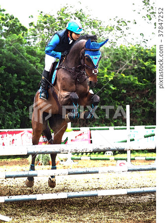 Equestrian competition 37847252