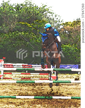 Equestrian competition 37847260