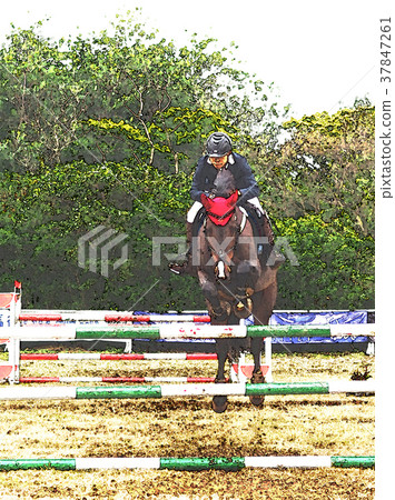 Equestrian competition 37847261