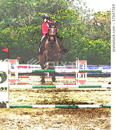 Equestrian competition 37847264