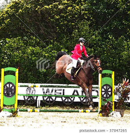 Equestrian competition 37847265