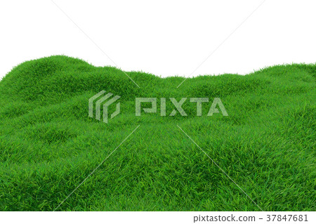 Green grass growing on hills with white background - Stock Illustration ...