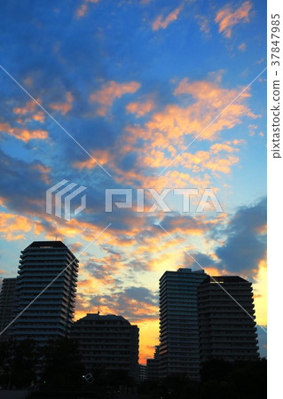 Sunset scenery of buildings in the direction of Kawaguchi Station West Exit Sunset scenery of buildings in the direction of Kawaguchi Station West Exit 37847985