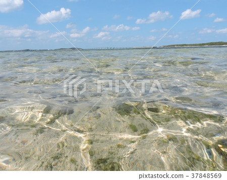 宮古島的透明海 宮古島的透明海 37848569