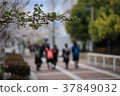 Spring scene 37849032
