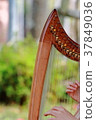 harp 37849036