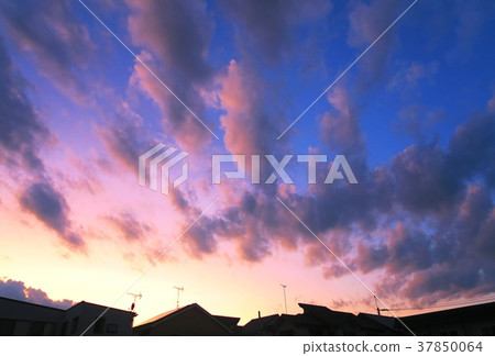 一個住宅區的日落風景 一個住宅區的日落風景 37850064