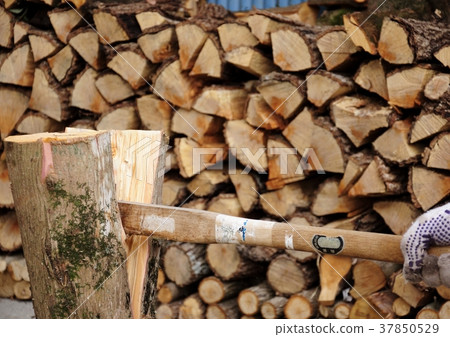 Chopping firewood Chopping firewood 37850529