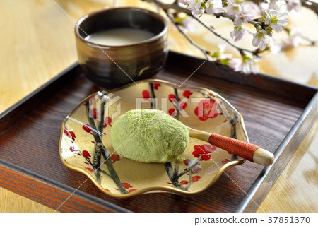 Uguisu mushroom and sweet sake, cherry blossom branch 37851370