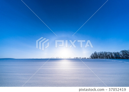 "Hokkaido" Winter Biei · Hello Phenomenon and Snowfield Scenery 37852419