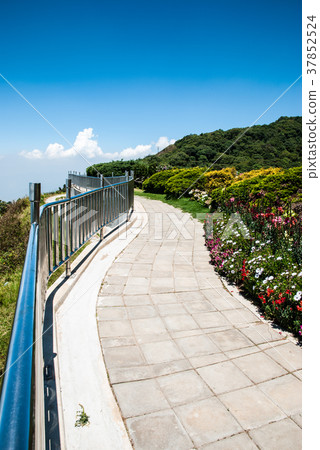 Nature trails with barrier Nature trails with barrier 37852524