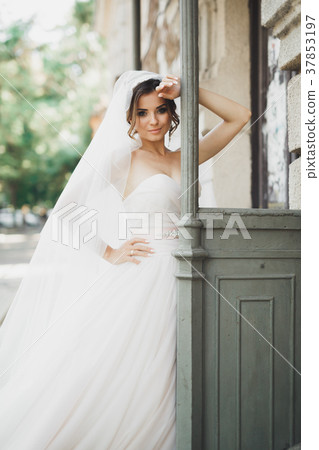 Beautiful bride posing in wedding dress outdoors Beautiful bride posing in wedding dress outdoors 37853197