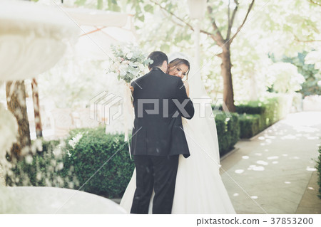 Romantic, fairytale, happy newlywed couple hugging Romantic, fairytale, happy newlywed couple hugging 37853200