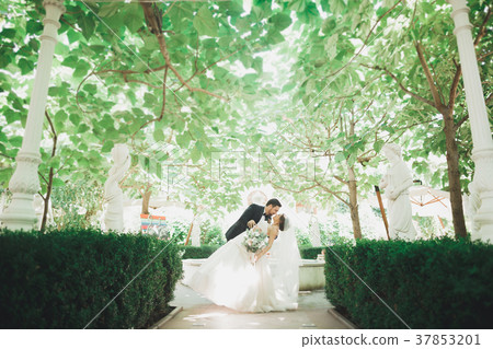 Beautiful romantic wedding couple of newlyweds Beautiful romantic wedding couple of newlyweds 37853201