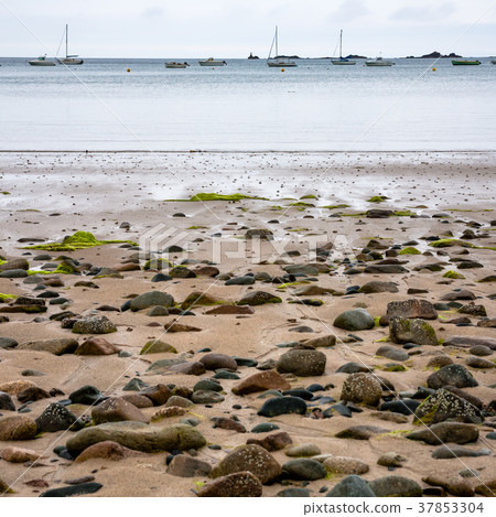 beach Plage de la Baie de Launay in Ploubazlanec beach Plage de la Baie de Launay in Ploubazlanec 37853304