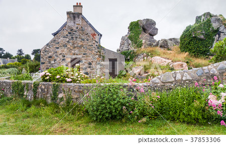 typical Breton house with garden in Plougrescant 37853306