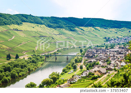 small town in valley of Mosel river 37853407