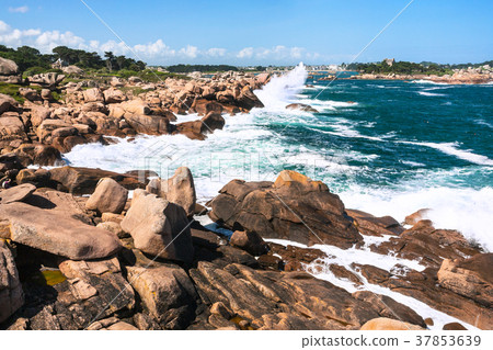 view of English Channel coastline in Ploumanach 37853639
