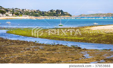view of Perros-Guirec town through estuary view of Perros-Guirec town through estuary 37853668