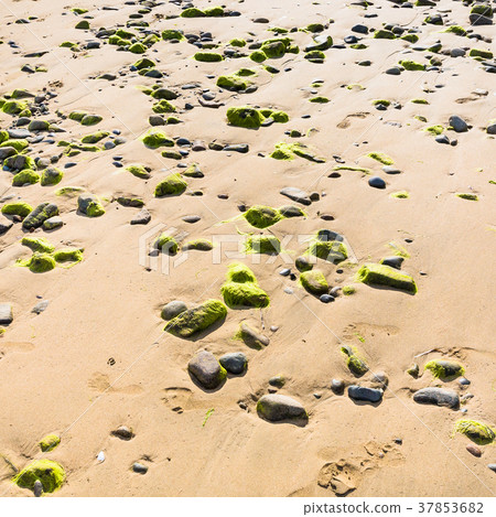 beach Plage de la Baie de Launay during low tide 37853682