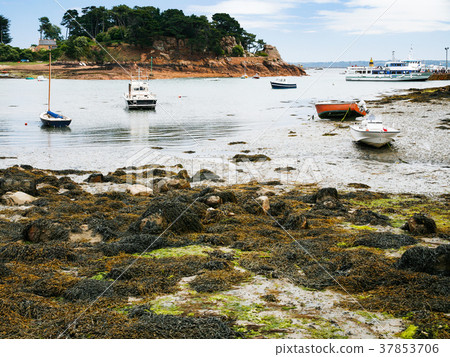 ships in Port-Clos harbour of Ile-de-Brehat 37853706