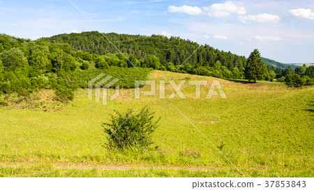 landscape of Nature and Geopark Vulkaneifel 37853843
