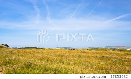 ground on Cap Gris-Nez in France 37853982