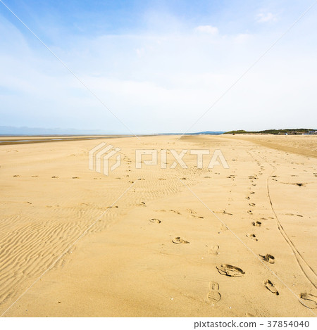yellow sand beach Le Touquet under blue sky 37854040