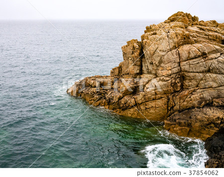 view of cliff on coastline in Brittany 37854062