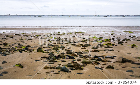 view of beach Plage de la Baie de Launay 37854074