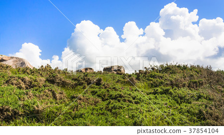 sky with white cloud over moorland in Ploumanach sky with white cloud over moorland in Ploumanach 37854104