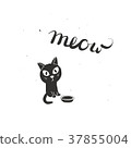 Gift card with a funny cute little kitten 37855004
