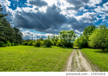 Gravel Road Through Sunlit Landscape in Austria Gravel Road Through Sunlit Landscape in Austria 37855858